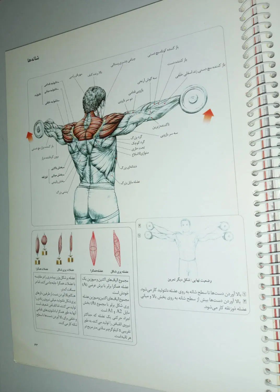 کتاب تمرینات قدرتی کل بدن ویژه مربیان و ورزشکاران|کتاب و مجله آموزشی|تهران, خواجه نظام الملک|دیوار