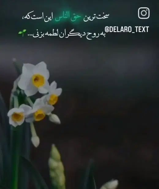 و.  ا.      م.|فعالیت داوطلبانه|رشت, معلولین|دیوار
