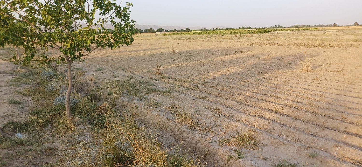 زمین کشاورزی متراژ۷۱۵ متر|فروش زمین و ملک کلنگی|مشهد, گلبرگ شمالی|دیوار