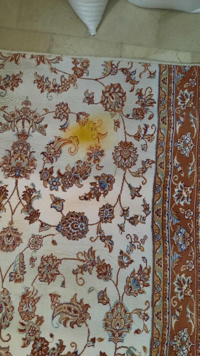فرش کناره|فرش|یزد, |دیوار