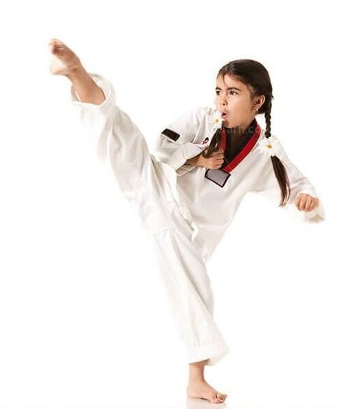 آموزش ورزش رزمی تکواندو|خدمات آموزشی|بیرجند, |دیوار