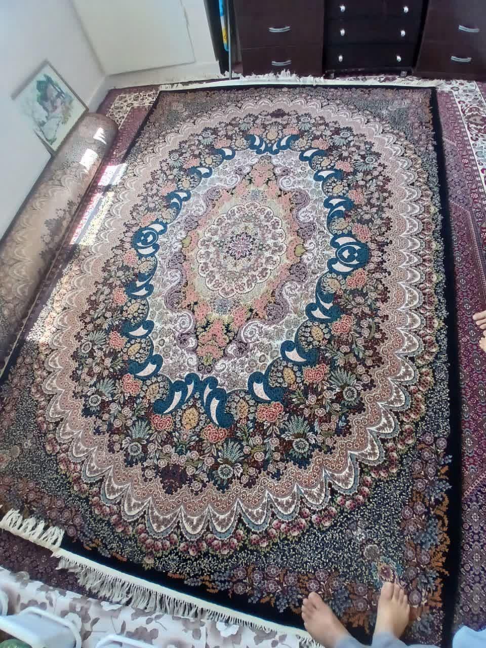 فرش ۶متری درحدنو|فرش|زنجان, |دیوار