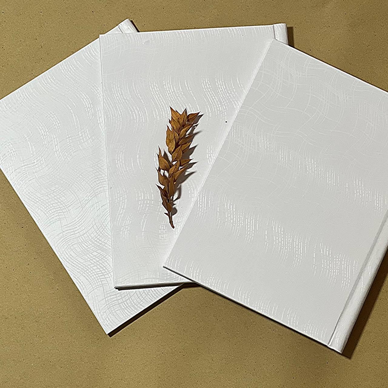 آلبوم بله برون(دفتر بله برون)|صنایع دستی و سایر لوازم تزئینی|تهران, سیروس|دیوار