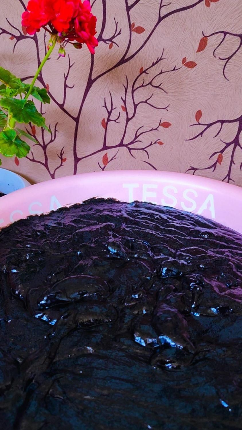 رب آلوچه/انار محلی ارگانیک(ترشی سیاه) برای فسنجان|خوردنی و آشامیدنی|بندر انزلی, نوغان|دیوار