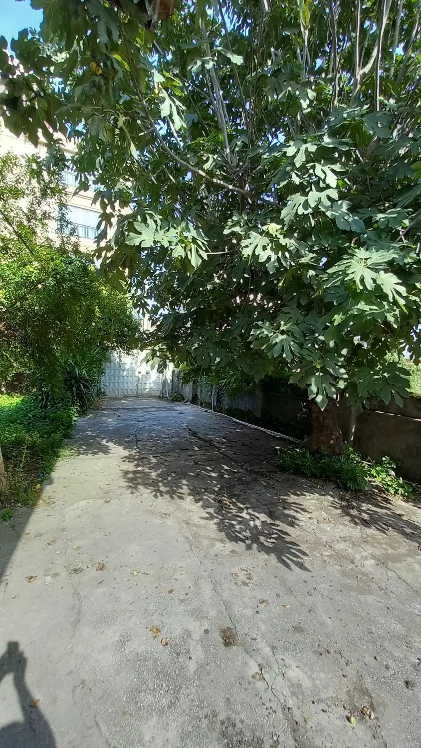 ۱۸۰ متر ویلا/۶۰۰ متر زمین/مناسب کار/کوچه هادی|اجارهٔ خانه و ویلا|تالش, هشتپر|دیوار
