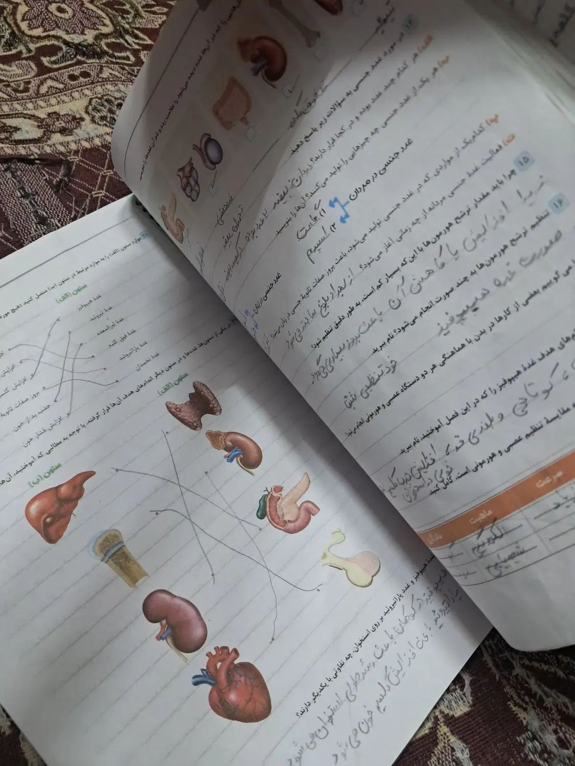 کتاب کار همراه جزوه|کتاب و مجله آموزشی|اصفهان, ملاصدرا|دیوار