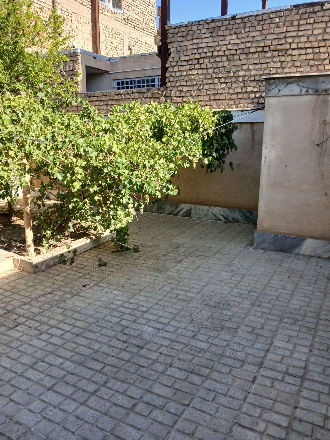 تصویر 11