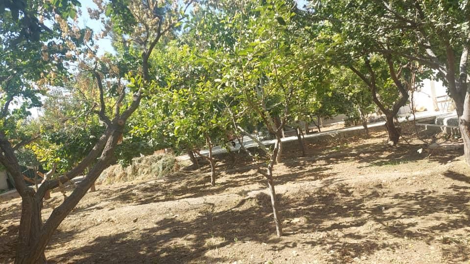 باغچه ۱۵۰۰ متری|فروش خانه و ویلا|مشکین‌دشت, |دیوار