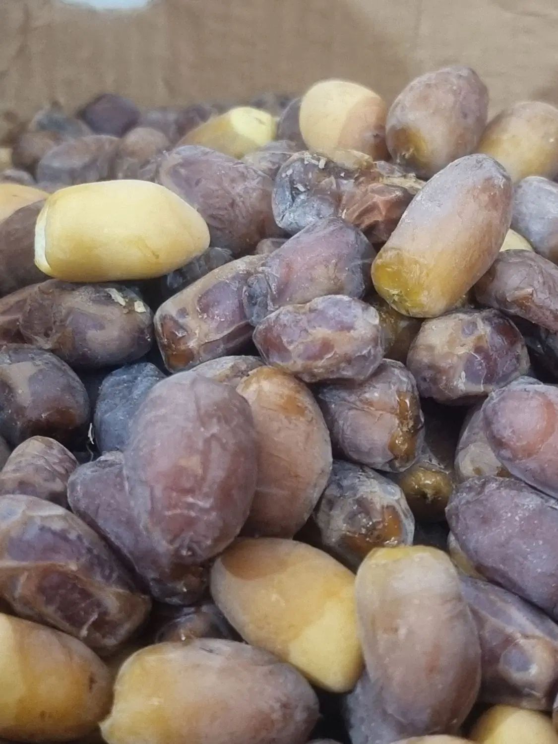 رطب عسلی|خوردنی و آشامیدنی|تهران, آرژانتین|دیوار