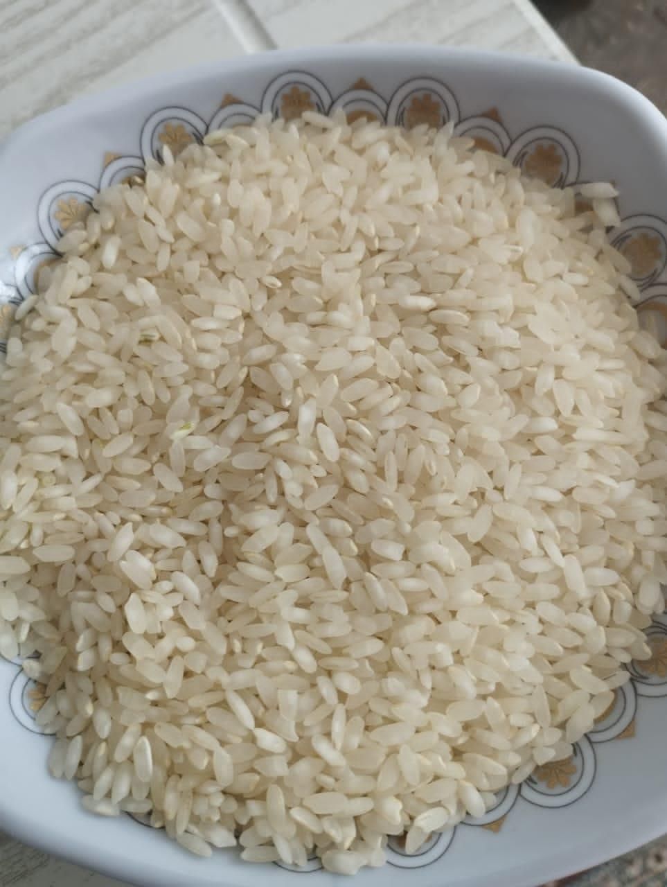 برنج کامفیروزی اصل ( حتما بخونید )|خوردنی و آشامیدنی|شیراز, دوکوهک|دیوار