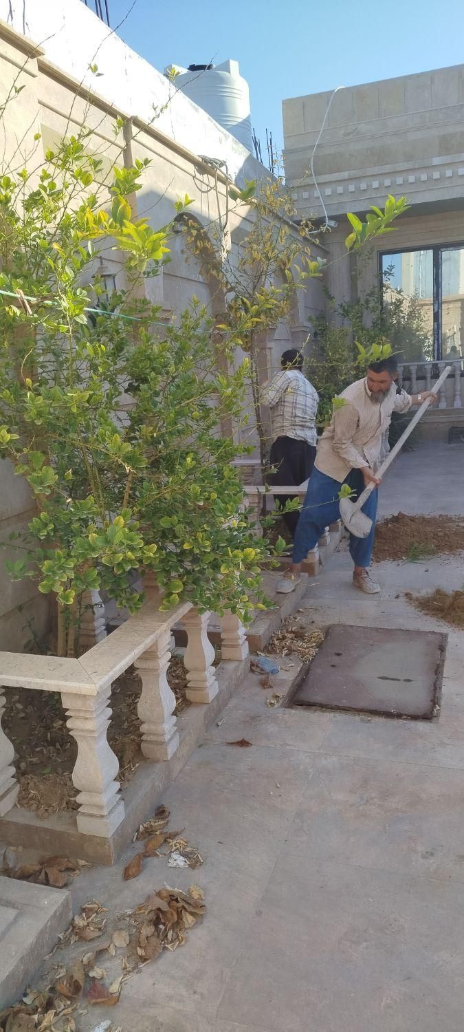 امورباغبانی و خونه باغ و باغات نخل|خدمات باغبانی و درختکاری|بوشهر, |دیوار