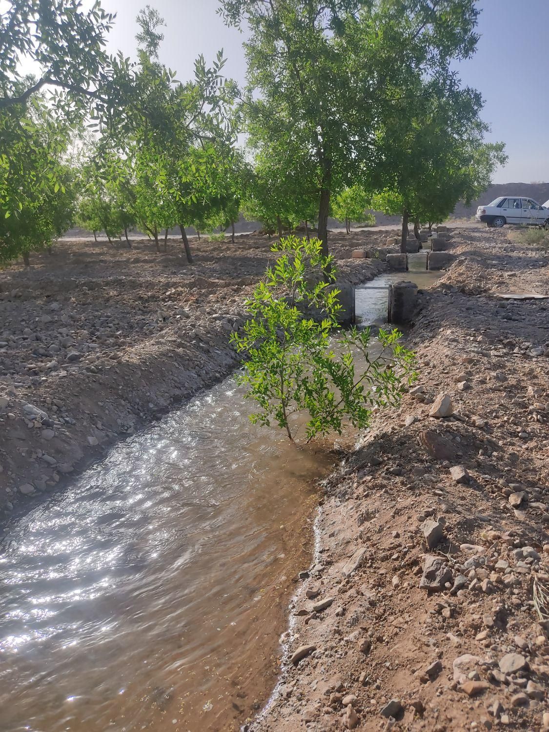 تصویر 6
