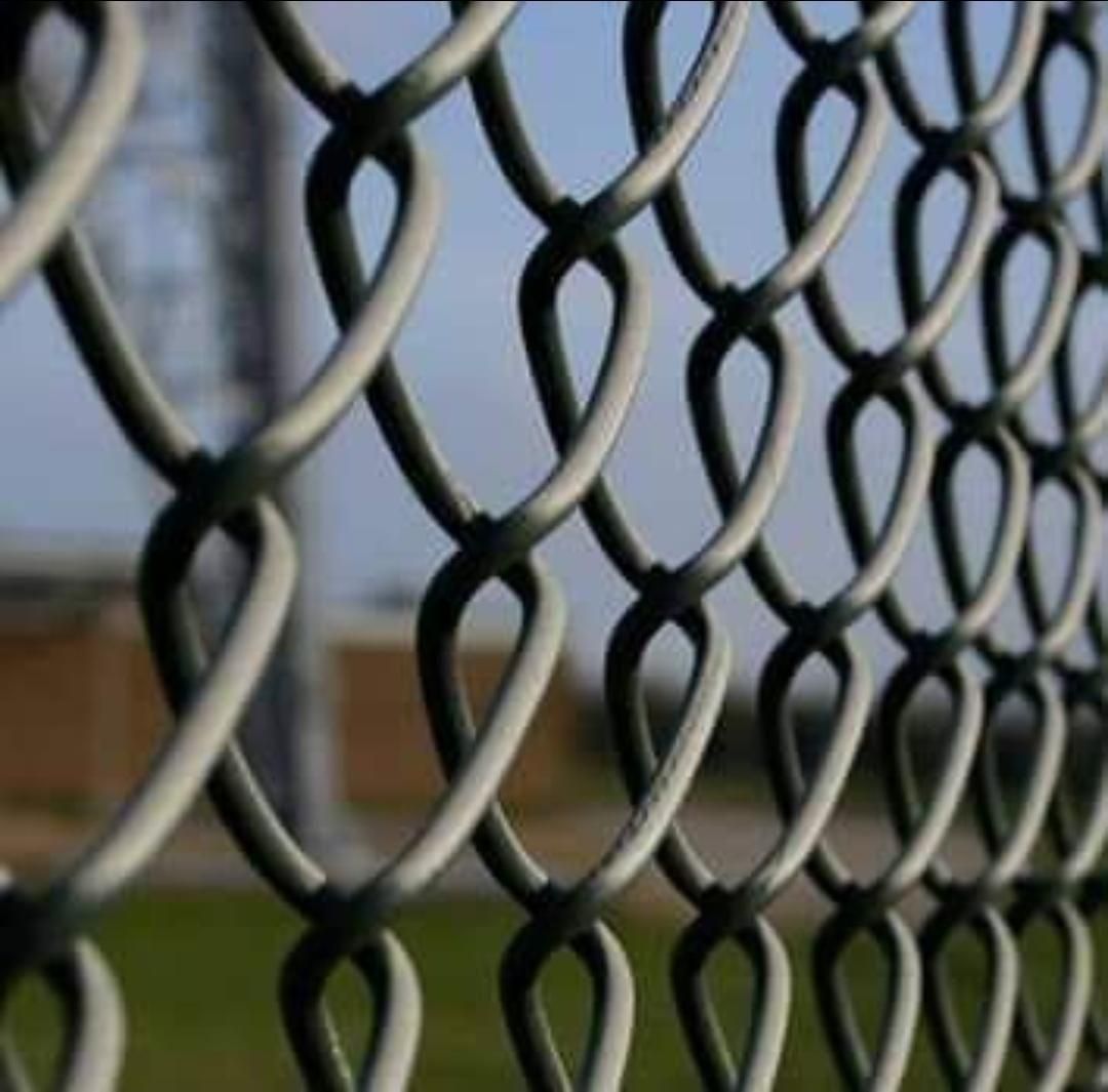 تولید توری حصاری (فنس) گالوانیزه گرم MESH|خدمات پیشه و مهارت|تهران, امین حضور|دیوار