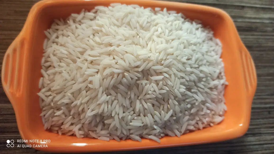 برنج هاشمی عطری تک محصول گیلان استا نه اشرفیه|خوردنی و آشامیدنی|رشت, معلم|دیوار