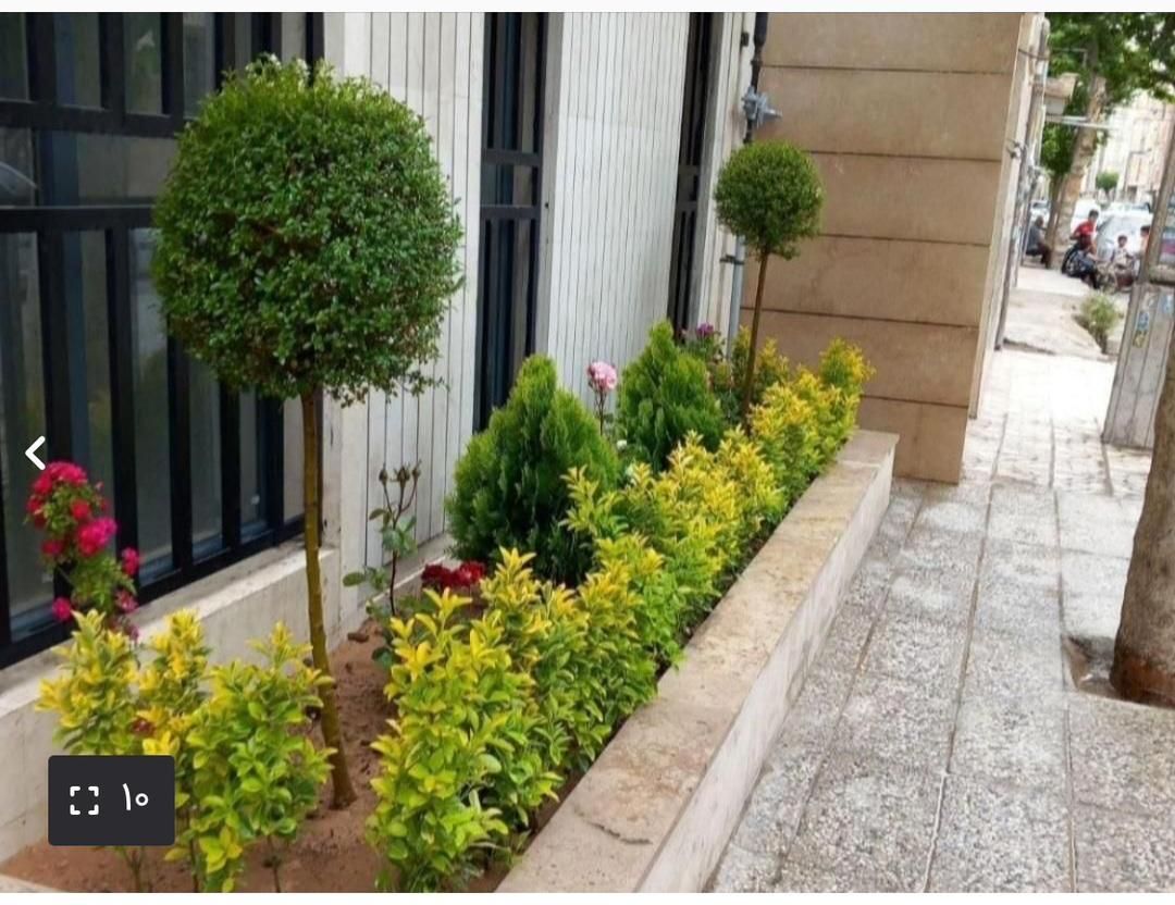 خدمات باغبانی احمدی سرویس به تمام نقاط تهران|خدمات باغبانی و درختکاری|تهران, تهرانپارس غربی|دیوار