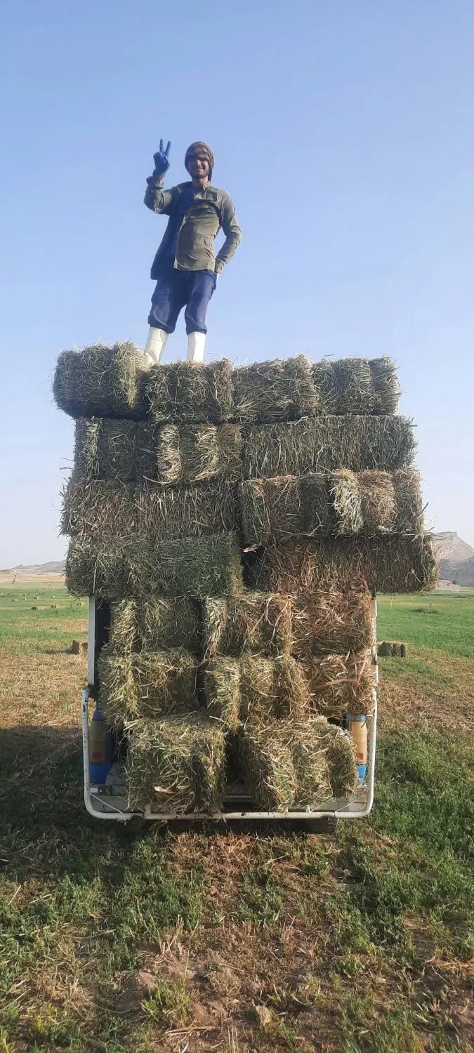 باربری وانت نیسان بار کرایه ای تلفنی شهرستان تهران|خدمات حمل و نقل|مرودشت, ژیان|دیوار