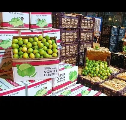 لیمو ترش .لیموشیرین|حراج|تهران, میدان میوه و تره‌بار مرکزی|دیوار