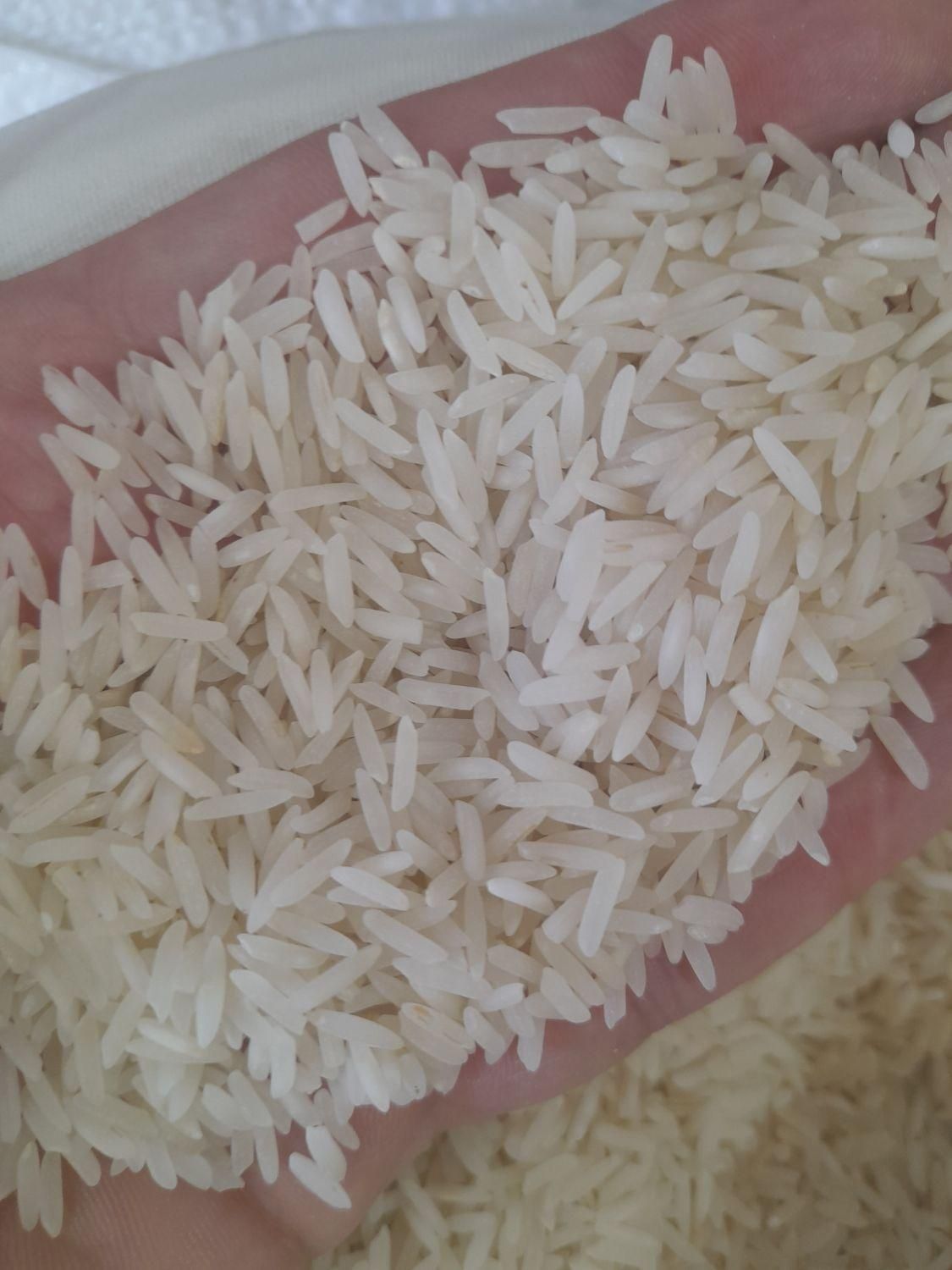 برنج دمسیاه گیلان|خوردنی و آشامیدنی|تهران, شهرک شریعتی|دیوار