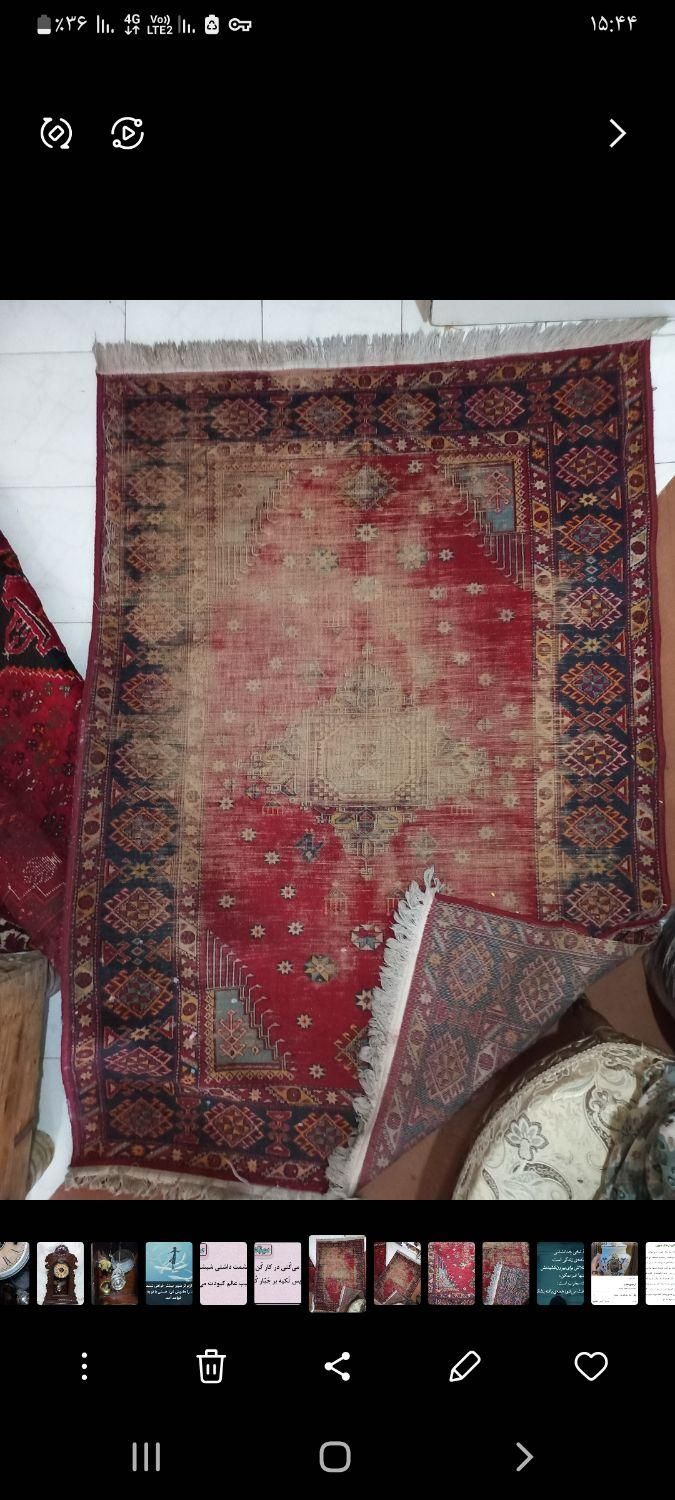 فرش کوچک پتینه|فرش|شیراز, شهرک گلستان|دیوار