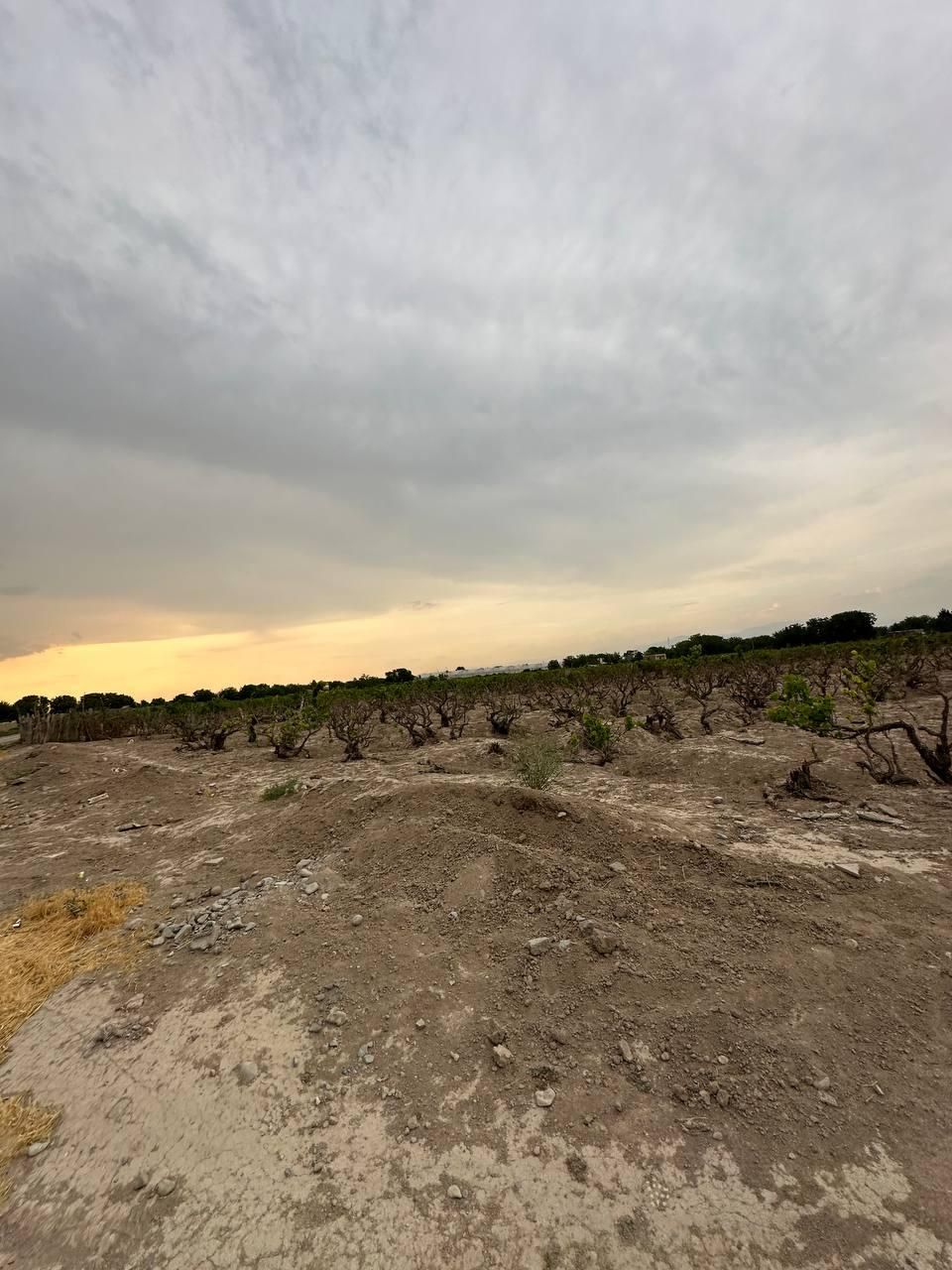 ۹۰۰۰ کتر سندتکبرگچ|فروش زمین و ملک کلنگی|رباط‌کریم, پیغمبر|دیوار