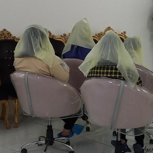 درمان شپش ورشک با محلول گیاهی با پزشک ایرانیان|خدمات آرایشگری و زیبایی|قم, نیروگاه|دیوار