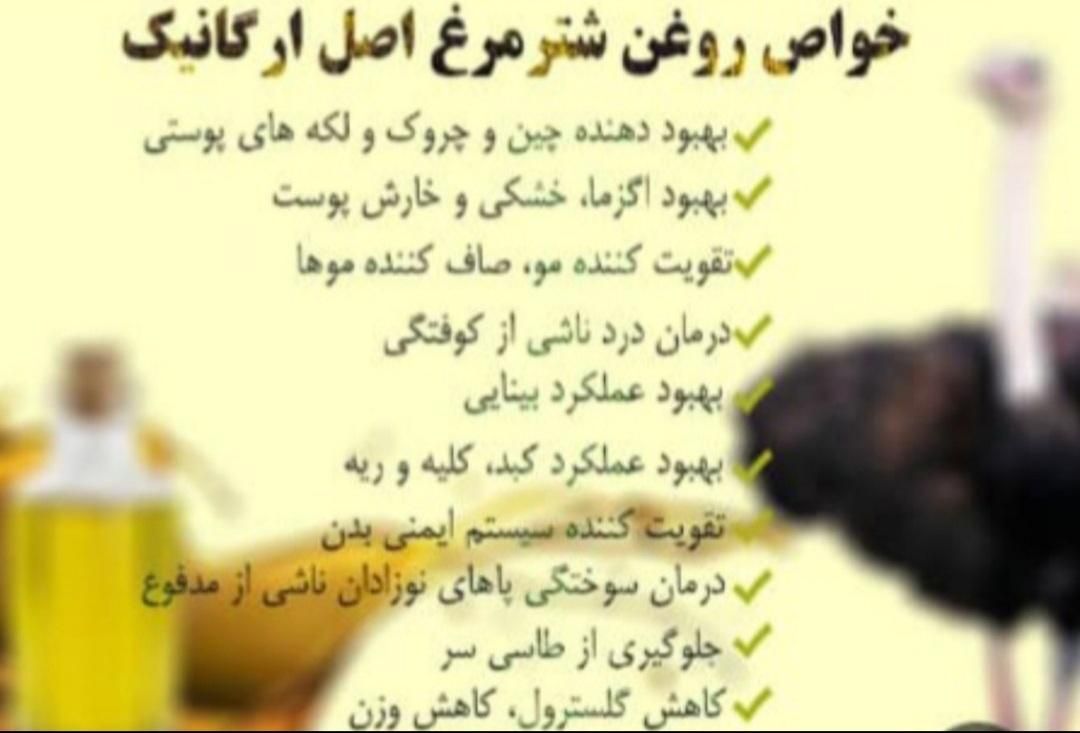 تلویزیون ال ای دی زودپزاجاق گازلوازم برقی پخت پز|اجاق گاز و لوازم برقی پخت‌وپز|یاسوج, |دیوار