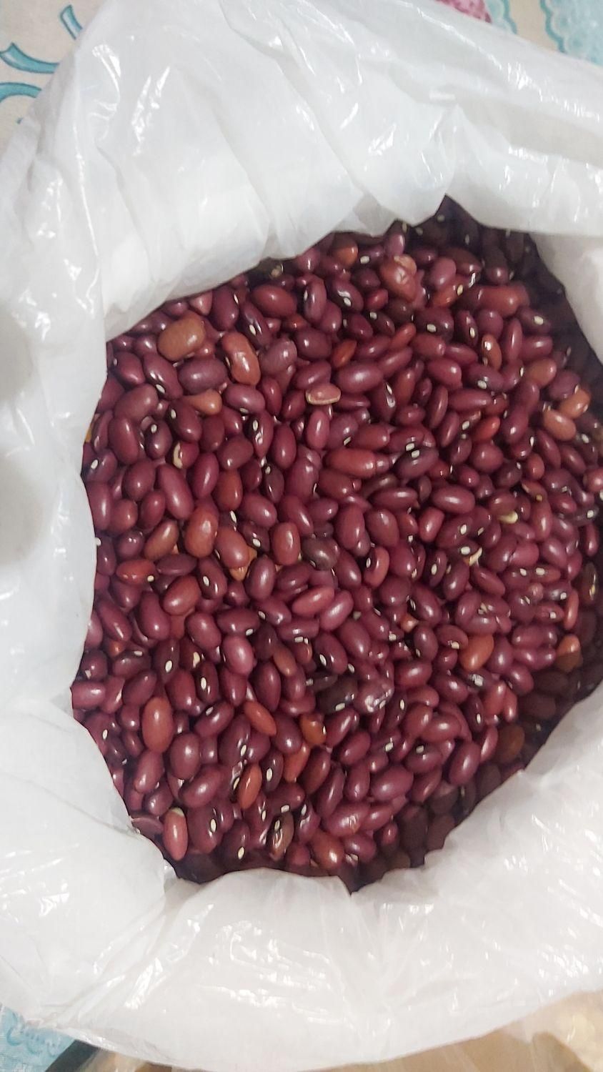 حبوبات|خوردنی و آشامیدنی|تهران, آذری|دیوار