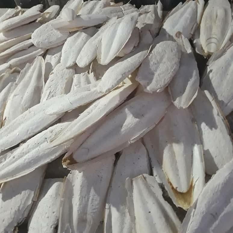 کف دریا سالم دورشت|آرایشی، بهداشتی، درمانی|بندرلنگه, |دیوار