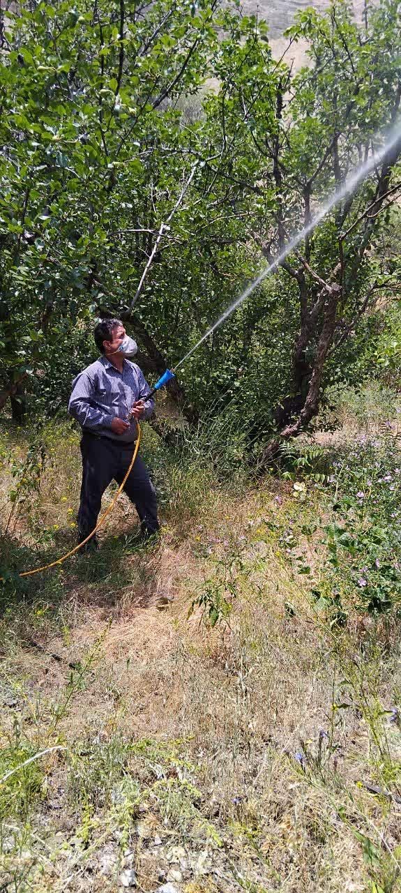 سم پاشی شخم زنی علف زنی وچاله کنی وچاله ستون فنس|خدمات باغبانی و درختکاری|مشکین‌دشت, |دیوار