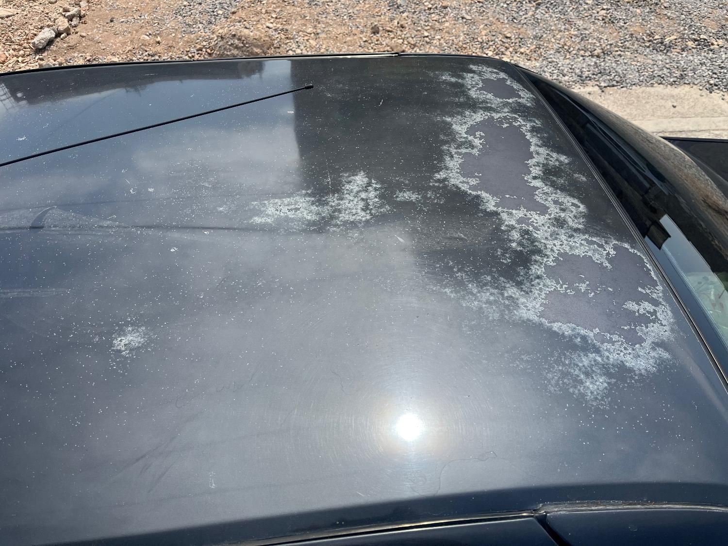 پژو 405 GLX بنزینی، مدل ۱۳۸۲|خودرو سواری و وانت|مبارکه, |دیوار