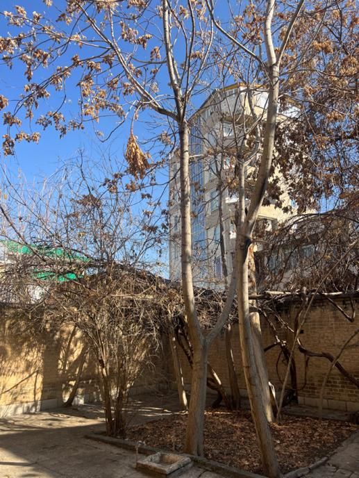 اجاره انبار یا دفتر ۳۰۰ متری مصوری دبیراعظم|اجارهٔ دفتر صنعتی، کشاورزی، تجاری|کرمانشاه, |دیوار