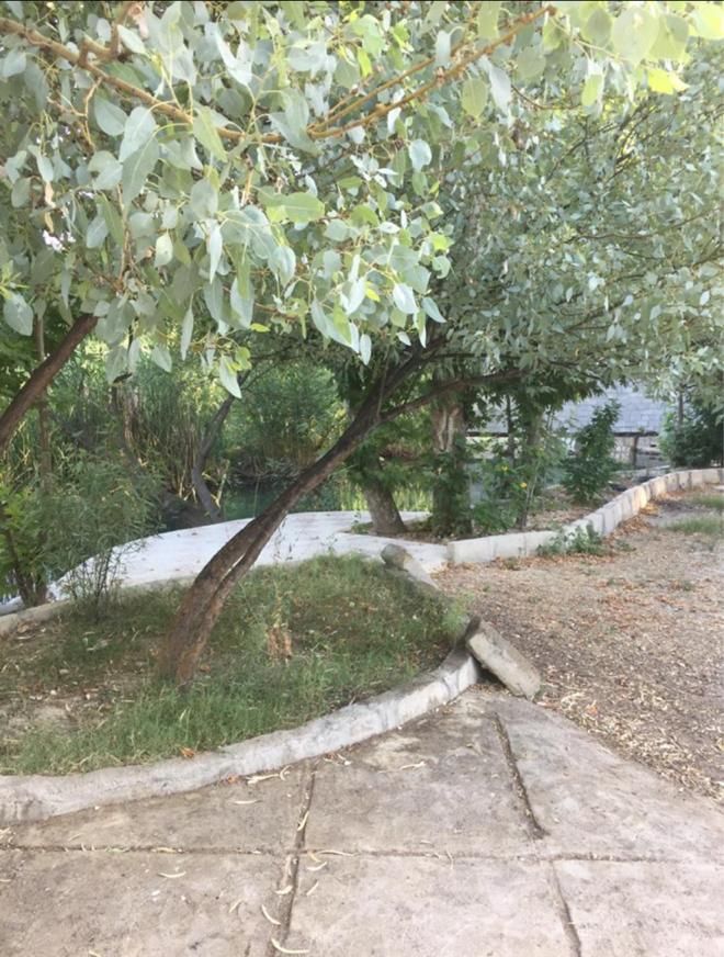 اجاره روزانه/هفتگی/ماهانه ویلا ۴۵۰۰ متری|اجارهٔ کوتاه‌مدت ویلا و باغ|کازرون, |دیوار