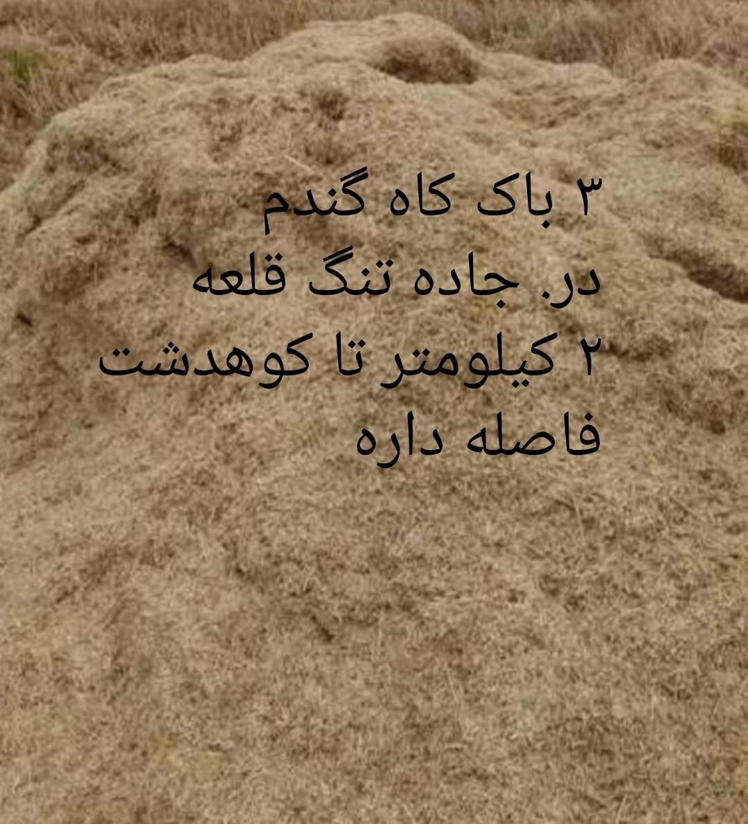 کاه گندم|لوازم جانبی حیوانات|کوهدشت, |دیوار