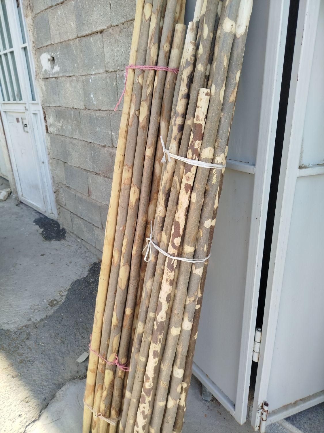 چوب گردو تکانی بلند|عمده‌فروشی|شیراز, کوشک میدان|دیوار