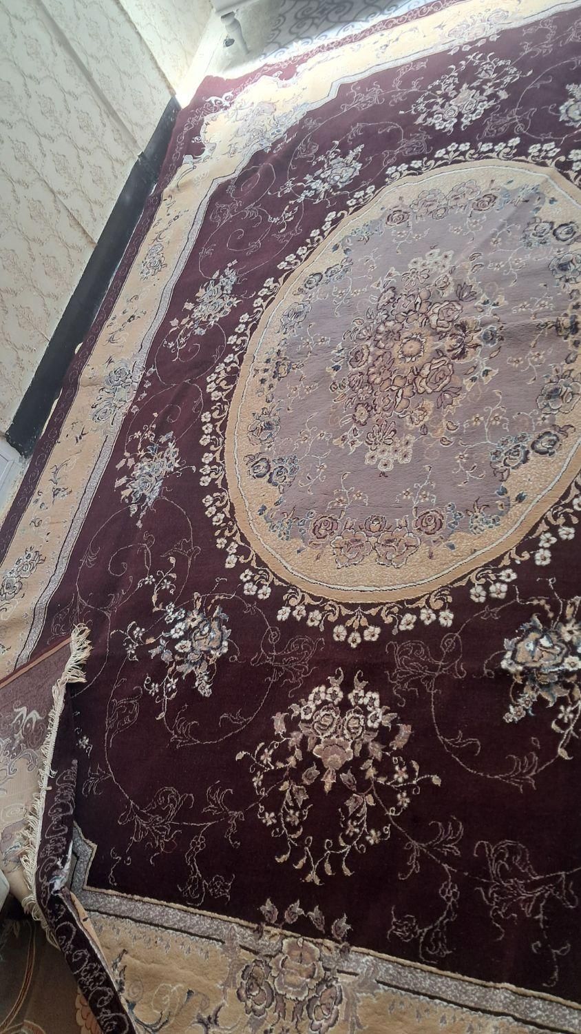فرش ۱۲متری|فرش|ابریشم, |دیوار
