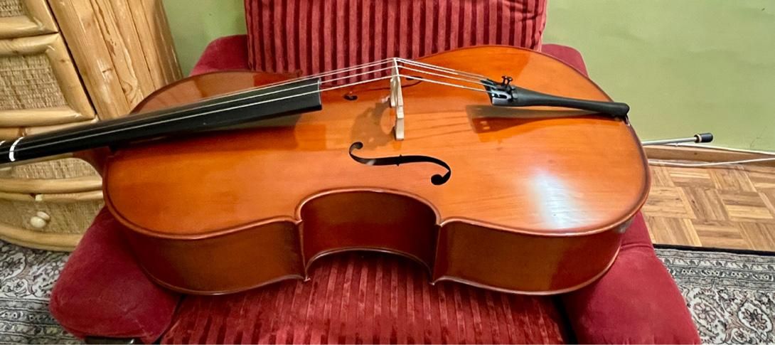 Cello TF 110 student model|ویولن|تهران, اکباتان|دیوار