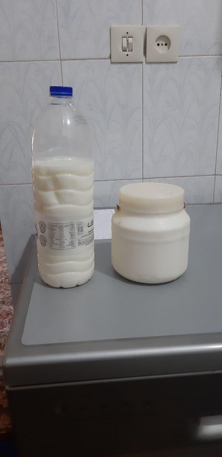 ماست ترش و شیرین بز (بافق)|خوردنی و آشامیدنی|بافق, |دیوار