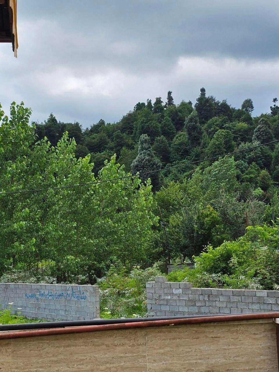 ۱۵۰ متر زمین ویلا ۱۰۰ متر کوهپایه ای طولارود اسالم|فروش زمین و ملک کلنگی|اسالم, |دیوار