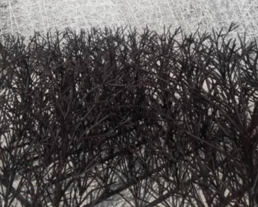 تولیدی ونمایندگی نرده شاخ گوزنی ایمن سازان آرمین|خدمات پیشه و مهارت|زاهدان, |دیوار