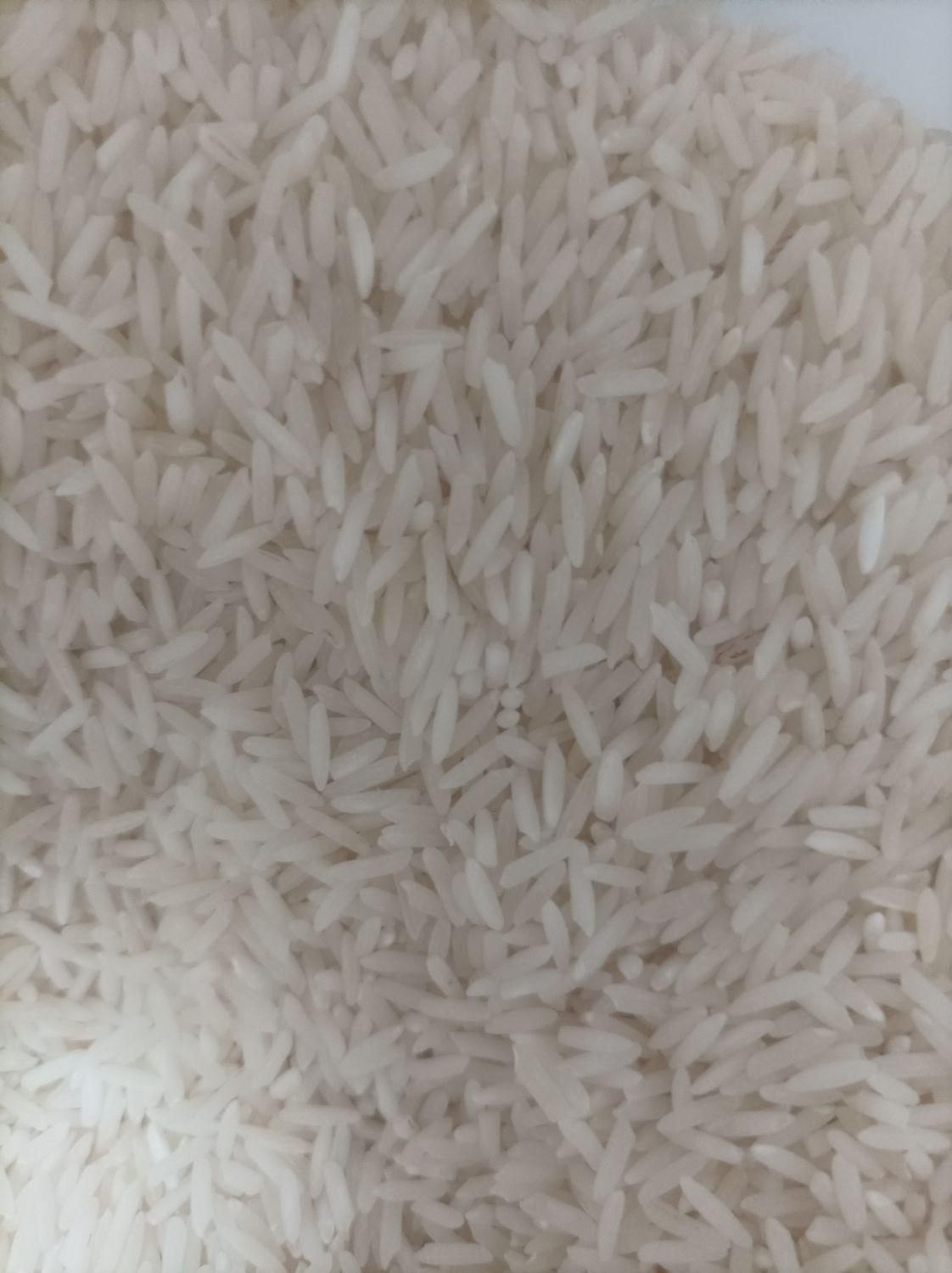 برنج طارم کاشت|خوردنی و آشامیدنی|شیروان (خراسان), |دیوار