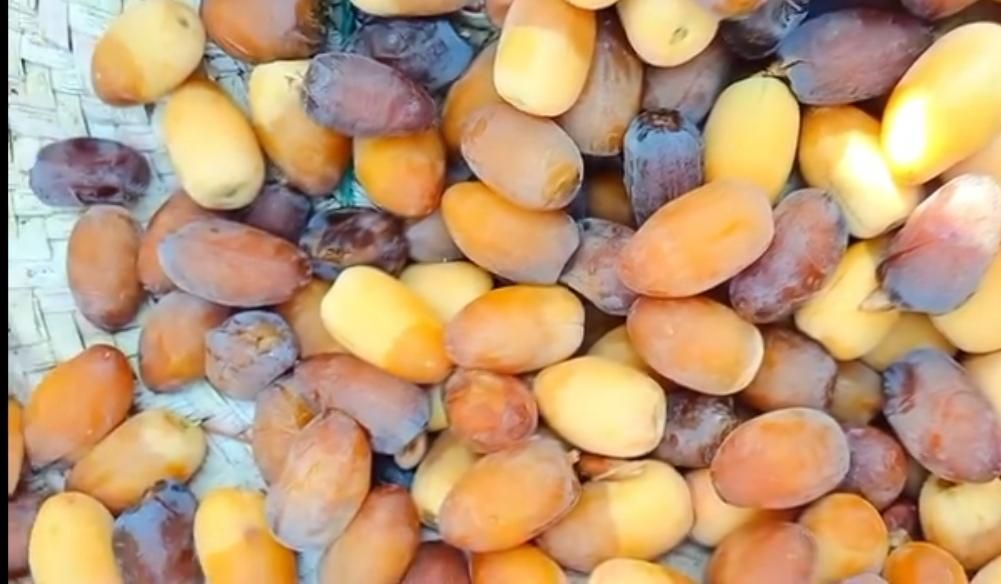 رطب و خرما درجه یک|خوردنی و آشامیدنی|اصفهان, ارغوانیه|دیوار