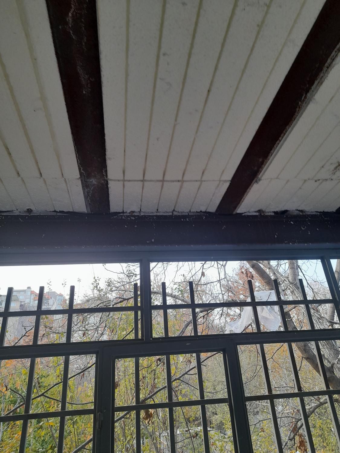 گچ کارخورده کاری لکه گیری نصب دیوارگچی گچکاری گچ|خدمات پیشه و مهارت|مشهد, شاهد (شهرک غرب)|دیوار