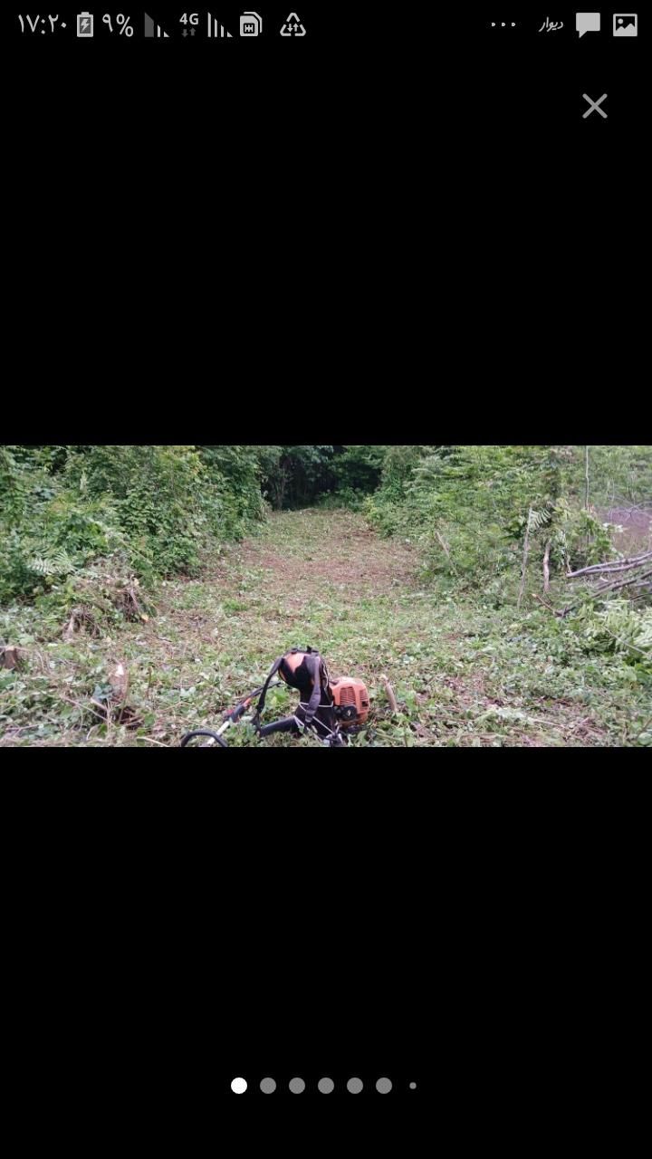 علف زنی با دستگاه|خدمات باغبانی و درختکاری|ماسال, |دیوار