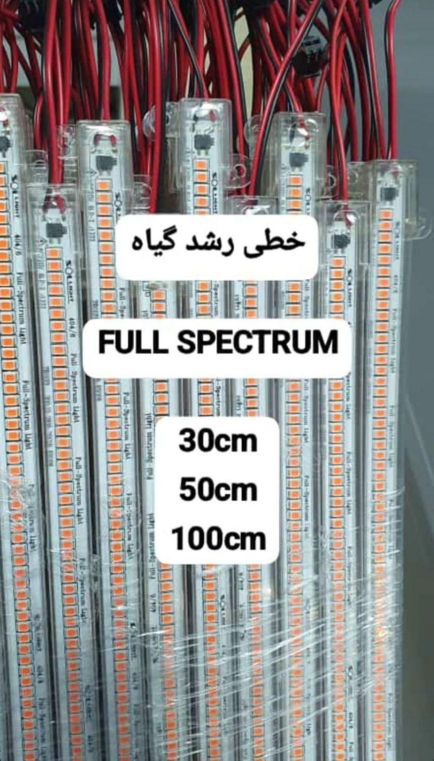 لامپ رشد گیاه|خدمات باغبانی و درختکاری|اراک, |دیوار