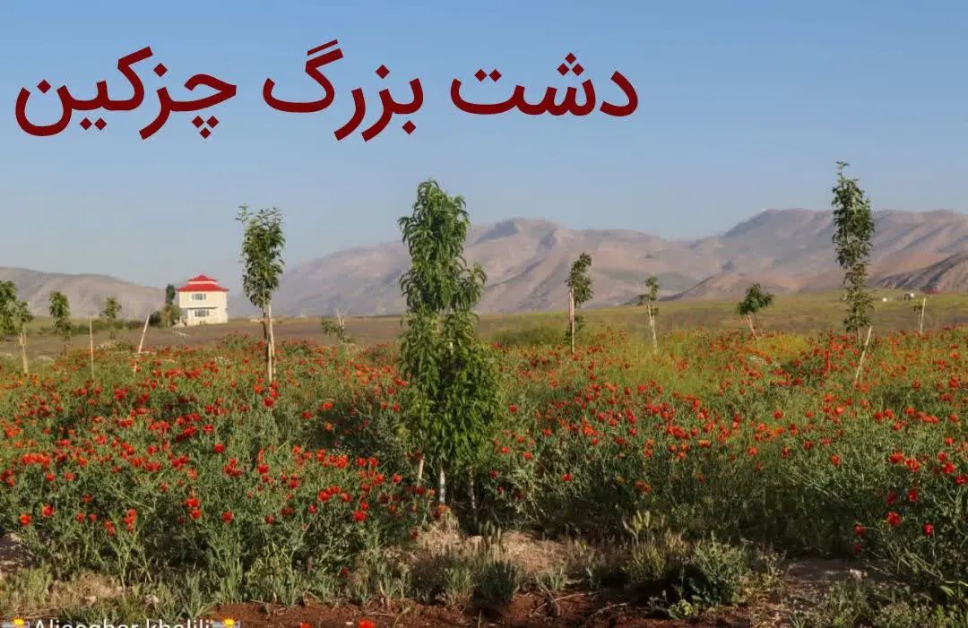 ۵۰۰متر زمین کشاورزی چزکین کنار استخر  سنددار|فروش دفتر صنعتی، کشاورزی، تجاری|ارجمند, |دیوار