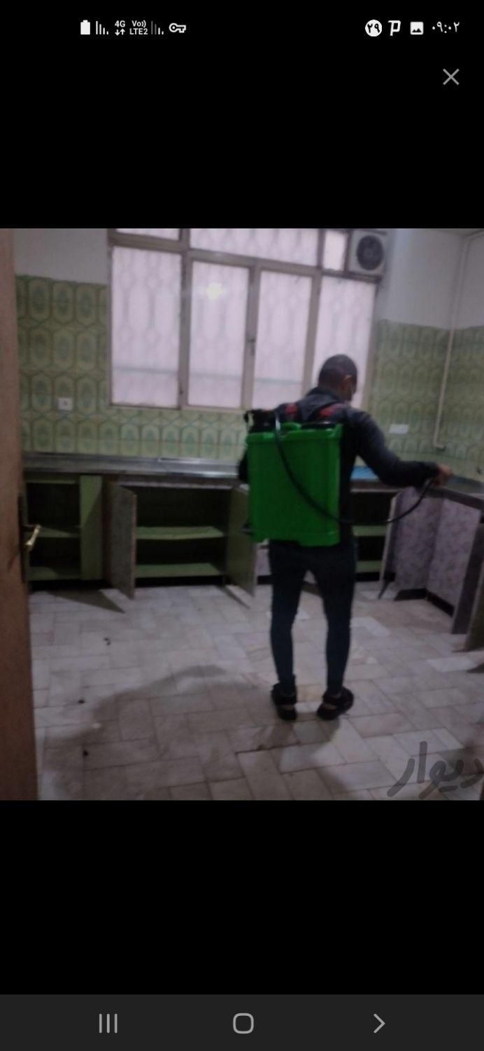 سمپاشی سم پاشی سوسک ساس در تمام نقاط مشهد|خدمات نظافت|مشهد, پورسینا|دیوار