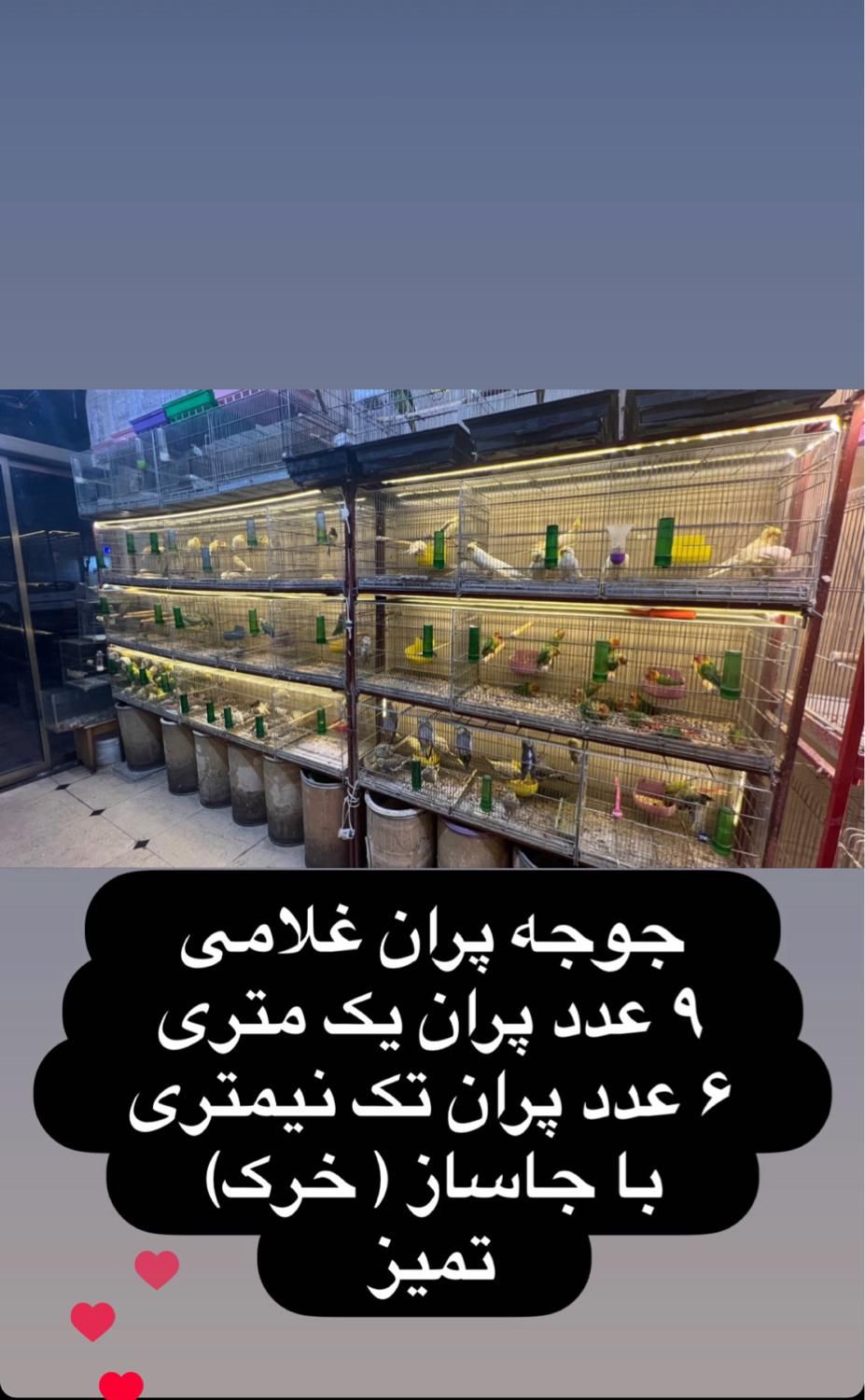قفس های غلامی جوجه پران|لوازم جانبی حیوانات|تهران, مدائن|دیوار