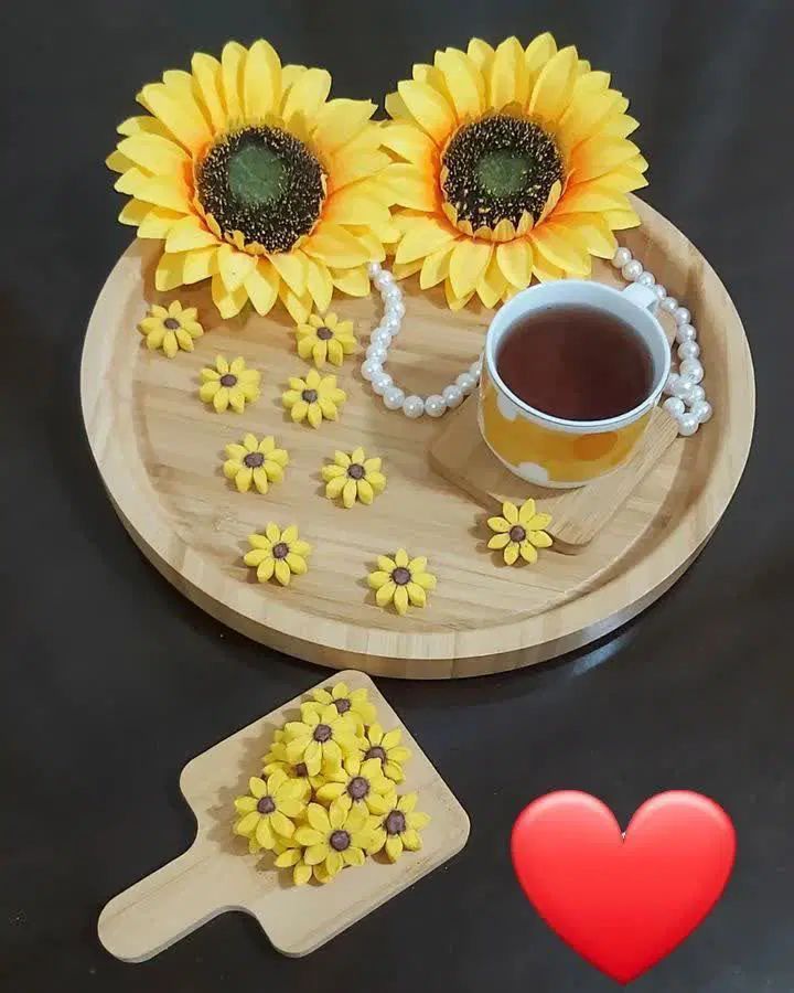 قندو نبات فانتزی|خوردنی و آشامیدنی|مشهد, سجادیه|دیوار