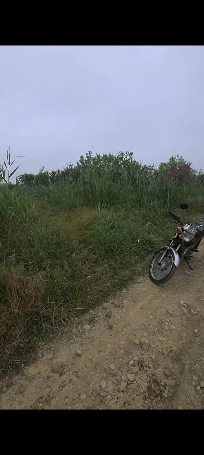 معاوضه زمین باغی آقاسید شریف روستای کوزان|فروش خانه و ویلا|رشت, لاکان|دیوار