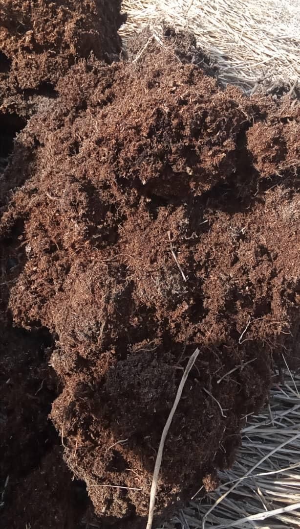 خاک باغچه گل باغچه|عمدهفروشی|شیراز, صاحب الزمان|دیوار